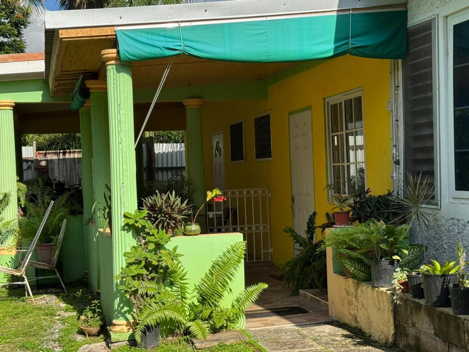 Shalom Suite 2, Manor Park Kingston Eksteriør bilde